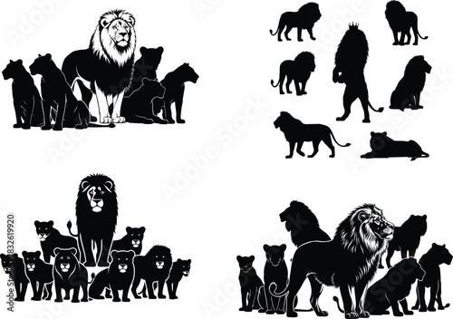 Silhouetted lion groupings majestic feline poses in black and white
