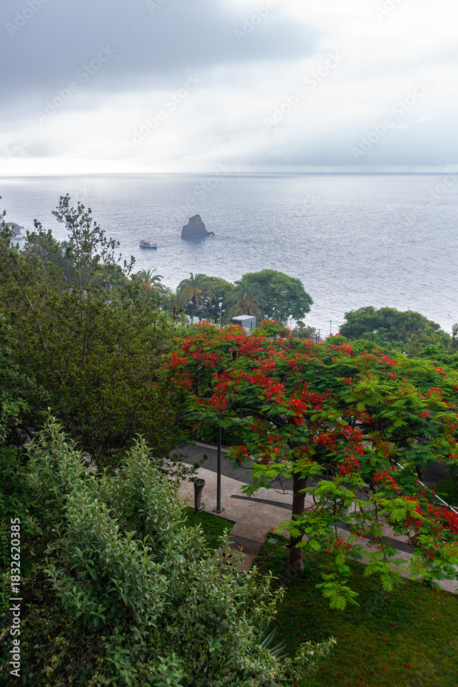 Naklejka premium green Madeira Island