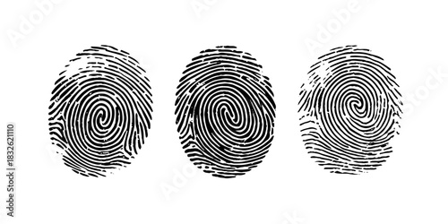 Fingerprint identification and security authentication. Fingerprint isolated on transparent background.