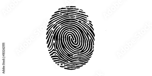 Fingerprint identification and security authentication. Fingerprint isolated on transparent background.