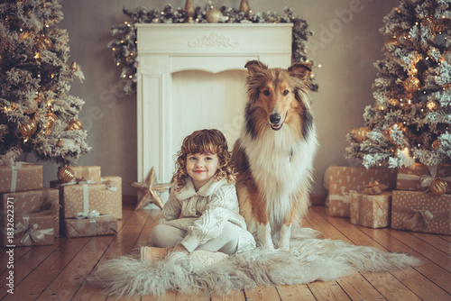Hübsches kleines Mädchen mit Locken steht mit ihrem rough Collie sable vor dem Weihnachtsbaum zu Weihnachten, Abendstimmung mit Lichtern Var. 6
