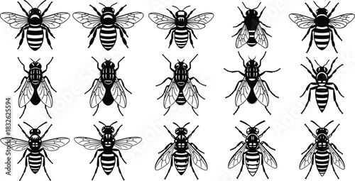 Set of fifteen detailed vector silhouettes featuring flying insects, including bees, wasps, and flies, representing nature, pollination, pests, and beekeeping, isolated on a clean white 