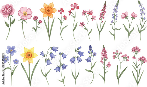 Set of watercolor-style vector illustrations featuring various beautiful spring and summer garden flowers like roses, daffodils, bluebells, and phlox, perfect for delicate feminine wedding