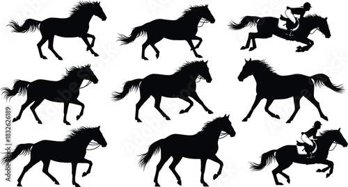 Silhouette collection of galloping horses and equestrian riders showing dynamic motion, powerful animal movement, horse running poses and jumping action for design and illustration projects