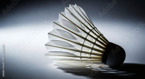 Modern Shuttlecock Product Photo