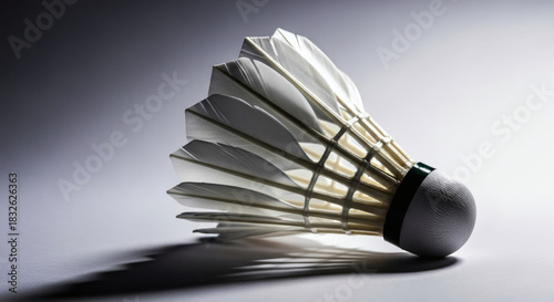 Vintage-Style Badminton Equipment