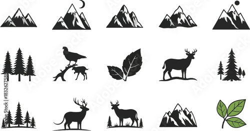 Adobe Illustrator Artwork