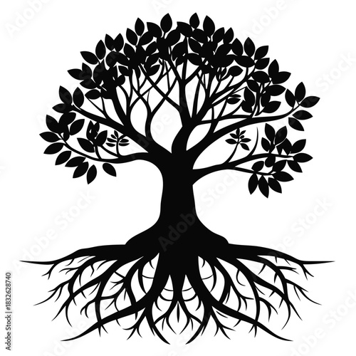 Silhouette tree with widespread leaves and extensive roots illustrates a connection with nature
