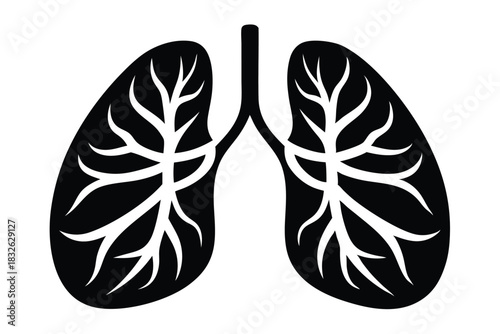 An anatomical lung pair with bronchial tree veins are clearly presented in black silhouette