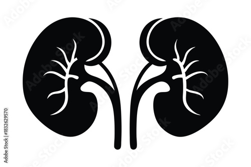 Human kidneys are displayed as a striking, simplistic black organ silhouette