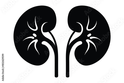 Black human kidney pair features white abstract internal details in monochrome anatomy