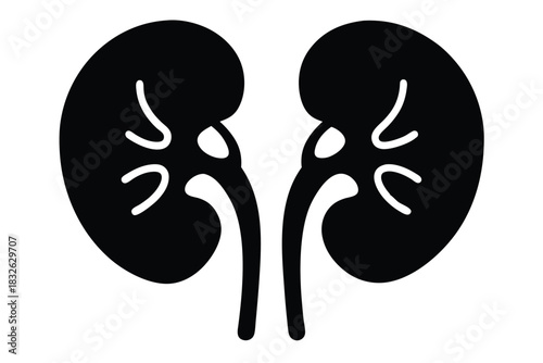 Black kidney glyph illustration shows human internal organ icon clearly on a white backdrop