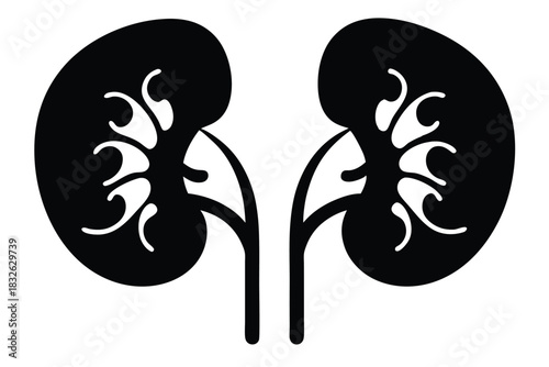 Paired human kidneys are illustrated in a black silhouette, complete with internal structures