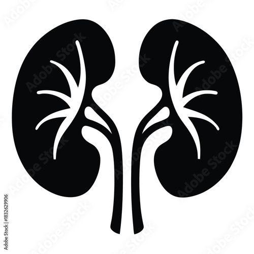 A simplified black and white renal artery displays kidneys and nephrology concept clearly