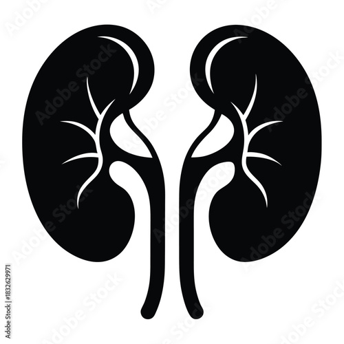 Black anatomical kidneys are symmetrically displayed on a white background showing an intricate internal structure