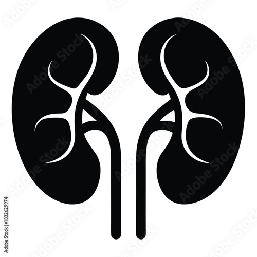 Isolated black kidney icon showcases simplified anatomical details on a clean white background