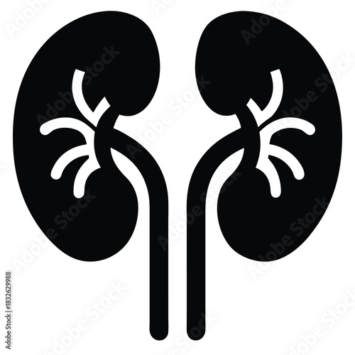 Human kidneys anatomical icon shows health and medical science graphically for educational materials