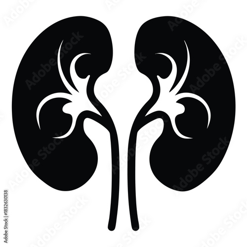 The kidneys, rendered in elegant black and white, represent vital internal human organs