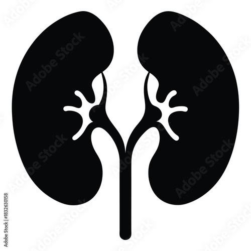 Human kidneys represented in black and white create a symbolic healthcare image