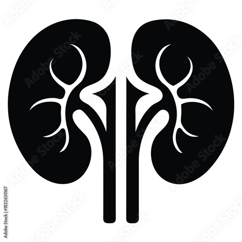 Symbolic kidney pair shows inner detail in bold black silhouette against a white background