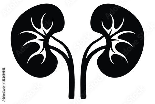 A stylized pair of kidneys appears in black and white, symmetrical and minimal
