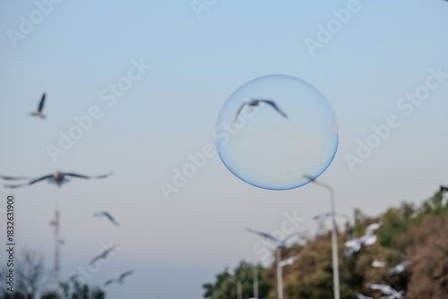 Floating bubble balloons and birds