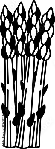 black and white single illustration of an asparagus