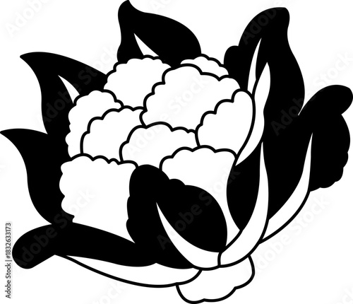 black and white single illustration of a cauliflower