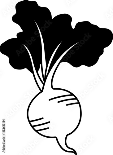 black and white illustration of A Radish