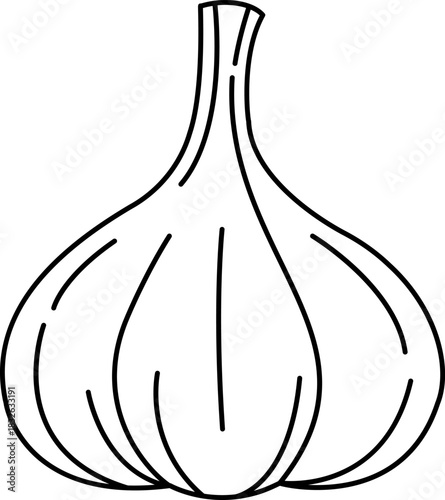 black and white illustration of a garlic
