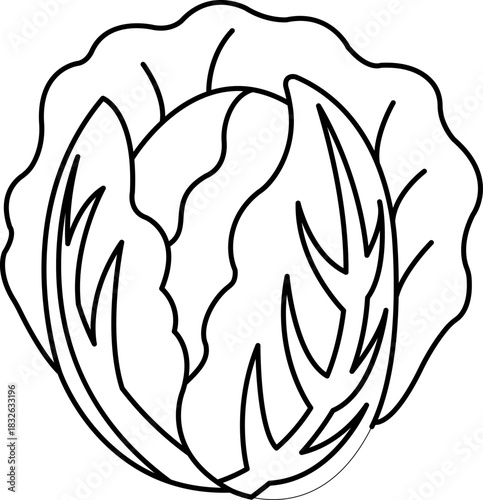 black and white illustration of a cabbage