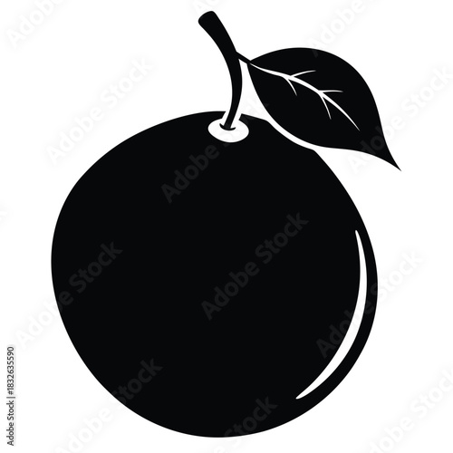 A monochrome stylized rendering presents a striking, solitary fruit with a leaf and stem