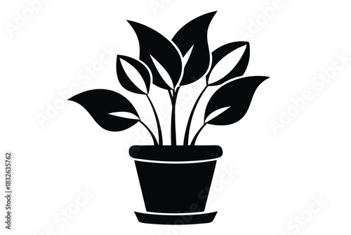 Silhouette houseplant features big leaves growing in a simple pot that rests neatly