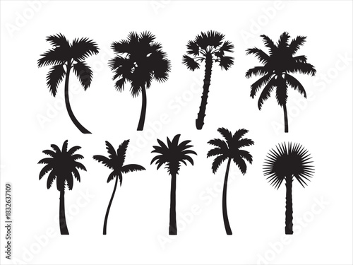 Palm Tree Silhouette Set | Tropical Coconut Tree Icons