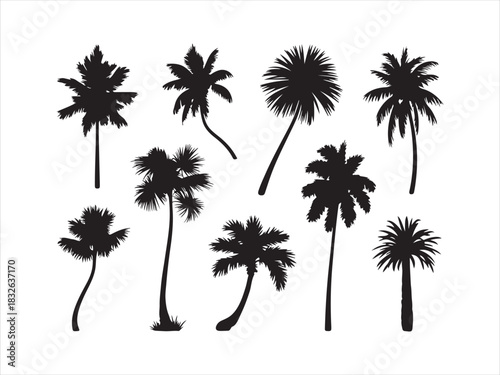 Palm Tree Silhouette Set | Tropical Coconut Tree Icons