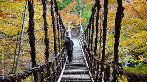 紅葉の奥祖谷二重かずら橋