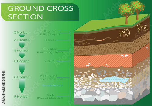Vector illustration of Ground Cross Section with organic, topsoil, subsoil and other horizon levels. Geological information poster..eps