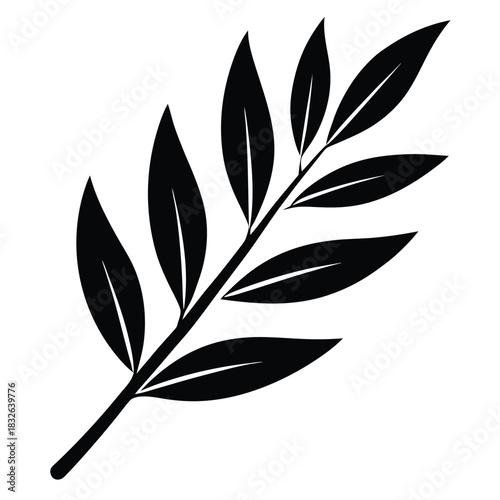 Isolated plant branch in black displays a simple elegant and detailed leaf vector