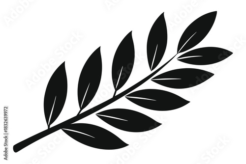 Elegant black silhouette of a symmetrical olive branch with sharp leaves against white