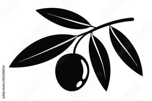 Silhouette shows olive branch with leaves and single olive against white background