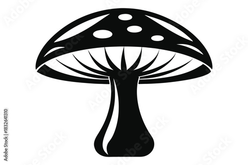 Black mushroom with white spots and gills stands prominently on a white backdrop