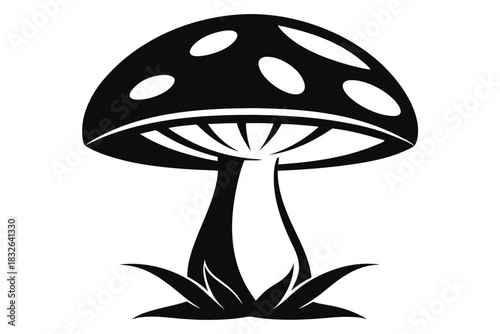 Solitary black mushroom with white spots flourishes amidst simple dark foliage below