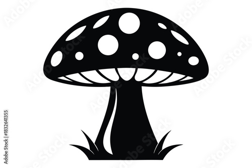 An isolated black fungus with white spots is seen with grass below it