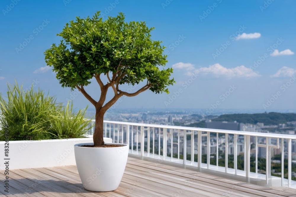 Naklejka premium Potted tree on rooftop terrace with cityscape view