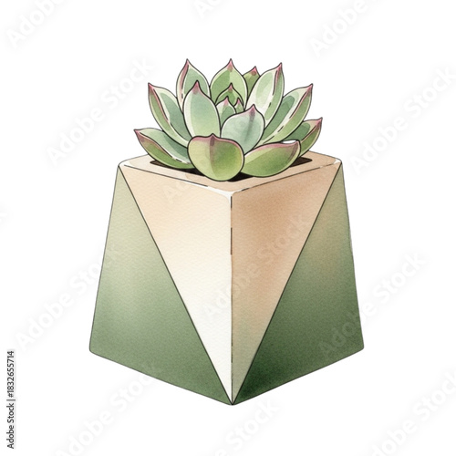 Succulent Plant in Modern Geometric Pot - Green Home Decor, Minimalist Design, Isolated on White