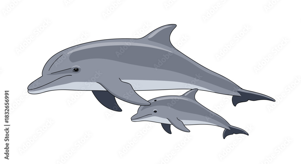 Fototapeta premium Loving mother dolphin and her small calf swimming side-by-side, depicted in a gentle and realistic cartoon vector illustration.