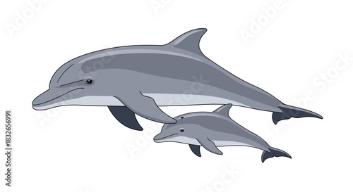 Loving mother dolphin and her small calf swimming side-by-side, depicted in a gentle and realistic cartoon vector illustration.