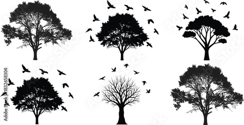 Tree bird silhouette