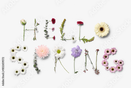 Text HELLO SPRING made of b...
