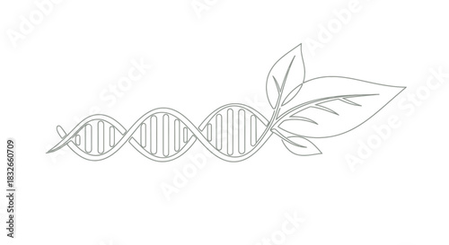 Minimalist DNA Double Helix Embedded with Organic Leaf Elements Emphasizing Life Sciences and
